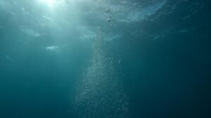 Age of Earth Water?